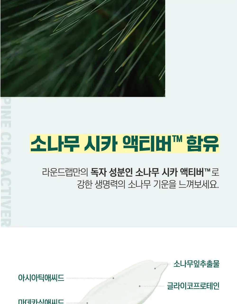 [더블] 라운드랩 소나무 진정 시카 클렌저 100ml+100ml 상세페이지 18